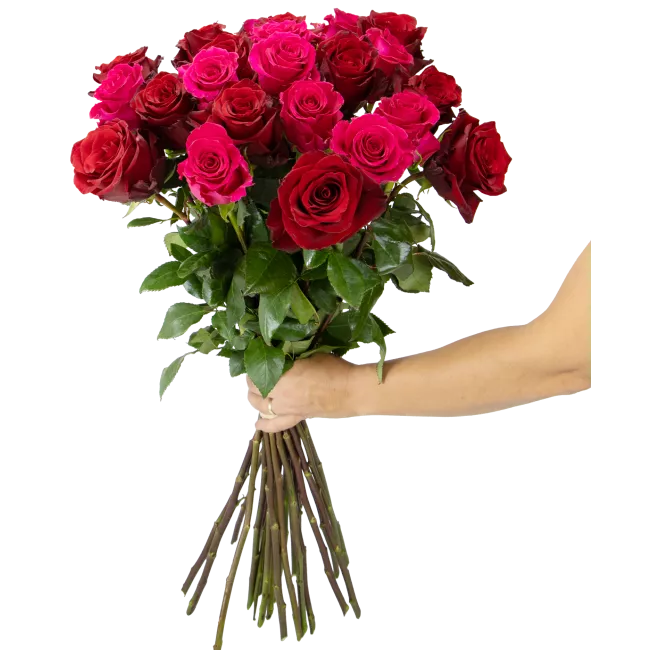 Kytice ekvádorských růží 80 cm